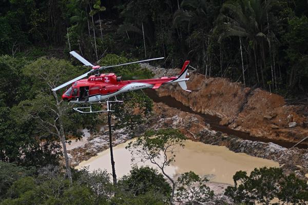 AMBIENTE. Brasil registró una fuerte caída en la deforestación de la Amazonía.