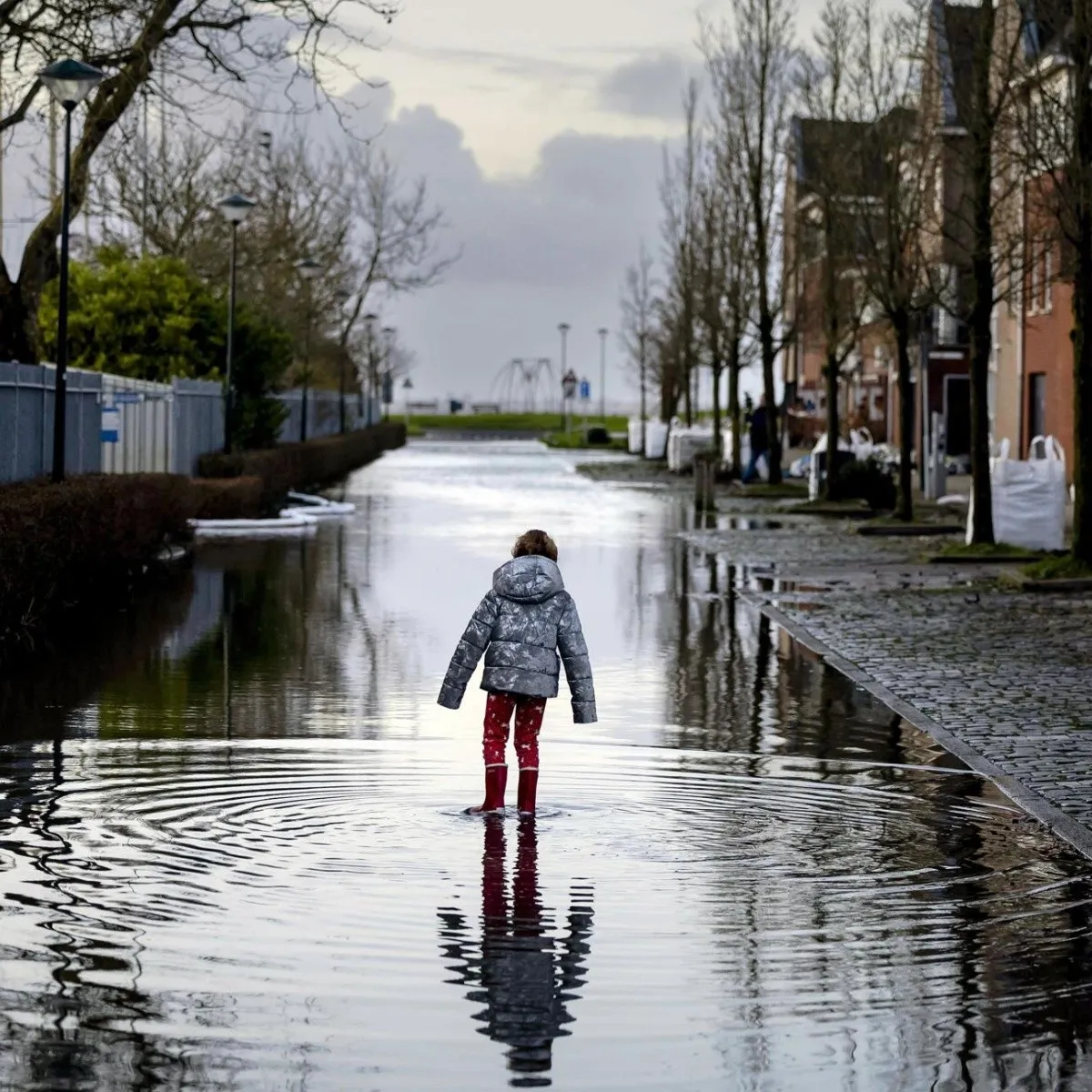 CLIMA. Las intensas lluvias han causado graves estragos en países como Alemania. EFE