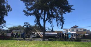 Un árbol le cayó encima a un camión por los fuertes vientos en Ibarra