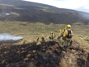 Más de 790 hectáreas de la Reserva Ecológica El Ángel arden en llamas