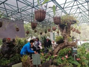 Quintas y museos de Ambato reabren sus puertas