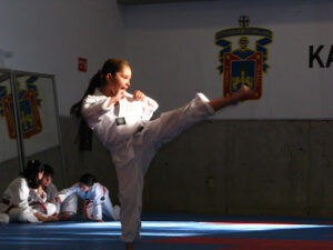 Inscripciones abiertas para curso de taekwondo en Santa Rosa