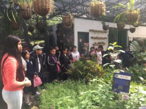 Recorridos guiados durante todo el feriado en el jardín botánico Atocha – La Liria