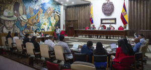Asesor de Alcaldía presentó acción de protección contra ocho concejales