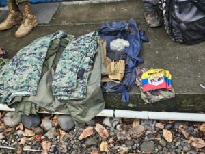 FARC: Piden al Gobierno de Ecuador tomar las medidas necesarias para combatir al narcotráfico en la frontera norte