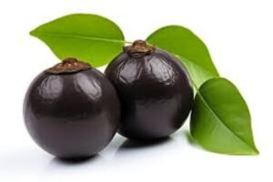 Zapote Negro: La fruta de Chocolate de San Lorenzo