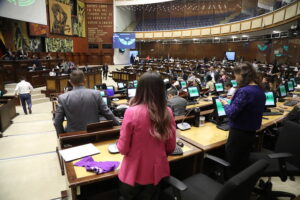 Caso Nene: Asamblea defiende capacidad fiscalizadora; no descartan convocar a la Vicepresidenta a rendir cuentas
