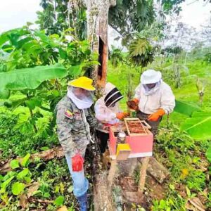 La apicultura y su contribución a la polinización de las plantas