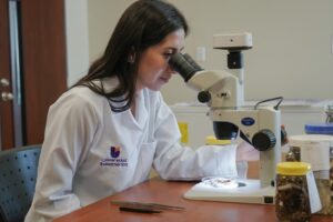 Investigador de Universidad Indoamérica trabaja en el redescubrimiento de la rana arlequín