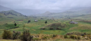 En Tungurahua en los últimos 11 años se  han perdido 15 mil hectáreas de páramos