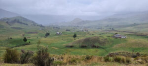 En Tungurahua en los últimos 11 años se han perdido 15 mil hectáreas de páramos