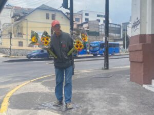En las calles de Quito se siente la tendencia del 21 de marzo ¿por qué regalamos flores amarillas?