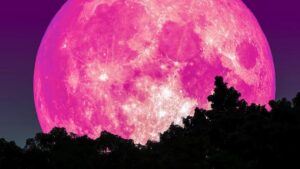 ¿Cuándo se verá la luna rosa, lluvia de estrellas, meteoros y los eclipses de marzo y abril?
