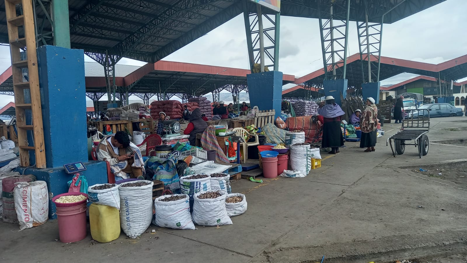 El quintal de ajo macho alcanzó los 350 dólares en el Mercado Mayorista de Ambato.