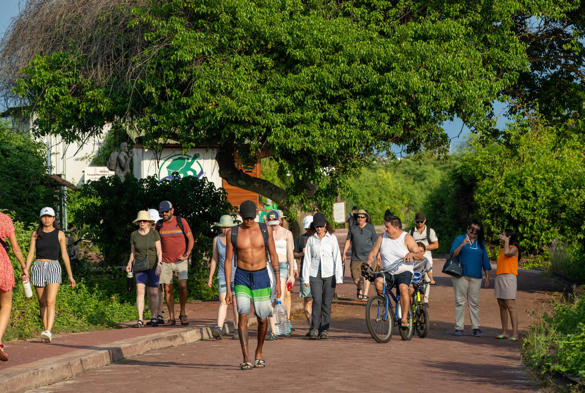 Turistas visitan el Parque Nacional Galápagos en la isla Santa Cruz. (EFE/José Jácome)