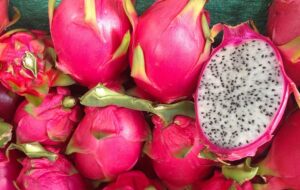 Dos empresas ecuatorianas exportan pitahaya roja por primera vez a Estados Unidos y Alemania