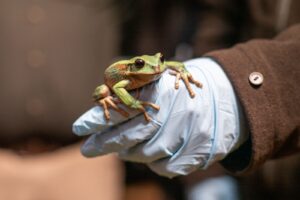 UTPL promueve acciones para conmemorar el mes de la biodiversidad