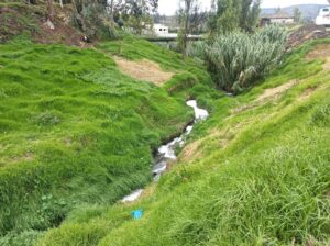El 80% de curtidurías en Tungurahua no tiene planta de tratamiento de agua