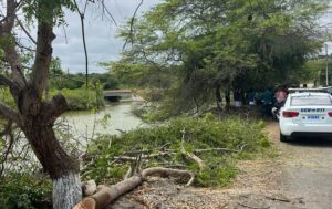 Caso Olón: siete días bastaron para aprobar el permiso ambiental del proyecto