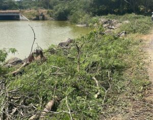 Caso Olón: Ministerio de Ambiente reitera que proyecto Echo Olón no requiere consulta ambiental, las fundaciones rechazan la argumentación