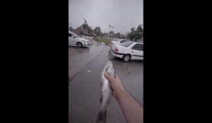Lluvia de peces, conozca la explicación para que caigan animales del cielo en Irán