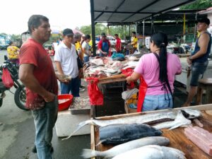 Comerciantes de mariscos reubicados temporalmente