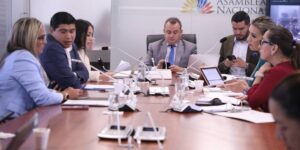 Consulta popular: la Asamblea todavía revisa las propuestas de Daniel Noboa