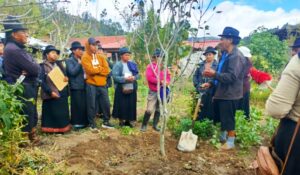 MAG capacita a productores de Saraguro en técnicas de podas de árboles frutales