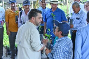 Prefectura de Loja Impulsa la producción de café y plantas forestales