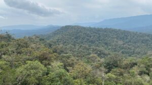 El Zarza: Refugio de vida silvestre que protege la biodiversidad en la Cordillera del Cóndor