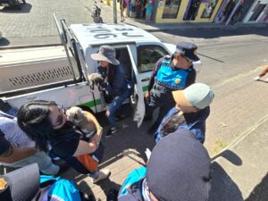 Quito: Seis cachorros que iban a ser vendidos fueron rescatados en el parque El Calzado