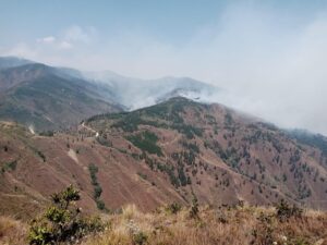 Loja: Voraz incendio ha consumido más de 4.856 hectáreas de vegetación en Quilanga