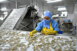 China y Rusia son los mercados donde más cayeron las exportaciones ecuatorianas en 2024