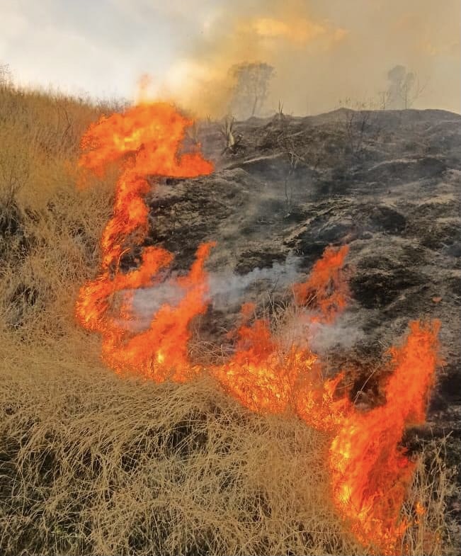 RIESGO. Equipos de bomberos y helicópteros de la FAE trabajan incansablemente en el cantón Loja, en las parroquias Quinara y Vilcabamba. Foto: Cuerpo de Bomberos de Loja.