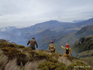 Bomberos de Los Ríos se sumaron a la batalla contra incendios en la Sierra