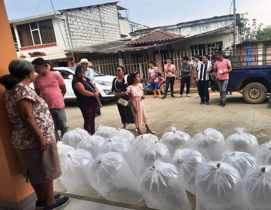 52.400 alevines de tilapia benefician a 86 productores de Puyango