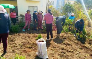 Taller agrícola en Selva Alegre impulsa técnicas sostenibles