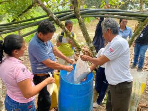 Agricultores de Los Ríos adoptan prácticas agroecológicas para reducir costos y mejorar rendimiento del cultivo