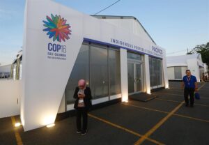 Termina la COP16 entre logros y decepciones para la biodiversidad