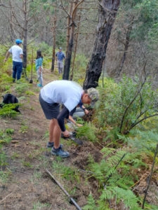 Scouts de Loja lideró iniciativa de reforestación