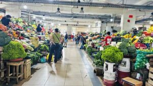 En Santo Domingo, la falta de diésel deja sin luz al mercado Municipal