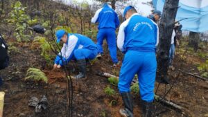 Calvas se activa con una campaña de reforestación