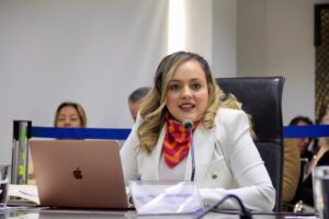 Comisión de Fiscalización calificó solicitud de juicio político a Johanna Verdezoto