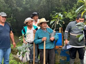 Entregaron 300 plántulas a zonas afectadas por incendios en Calvas