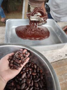 Cata de cacao y chocolatería en Santo Domingo