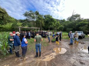 Pindal sembrará 5.000 higuerones para proteger sus fuentes de agua
