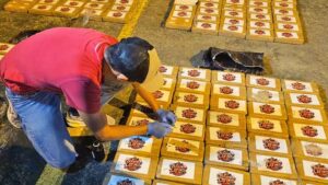 Más de media tonelada de droga en la zona rural