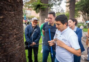 Expertos de la UNL apoyan emergencia de arbolado urbano en Cuenca