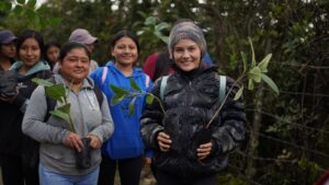En Celica se siembran 2000 plantas nativas