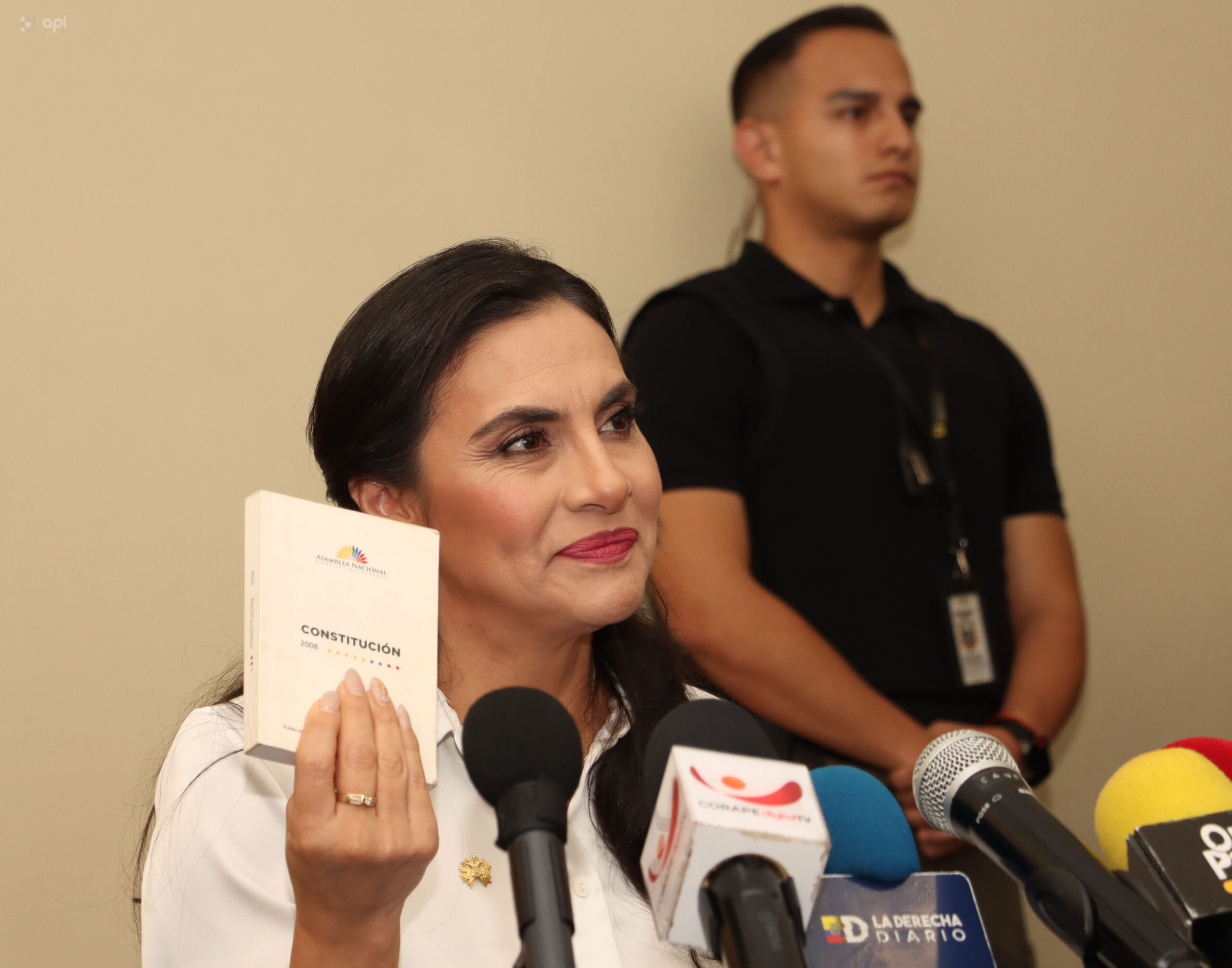 VICEPRESIDENTA. Verónica Abad, el 9 de enero de 2025, pidió a las instituciones que se pronuncien conforme a la Constitución, a días de iniciada la campaña electoral. (Foto: API).